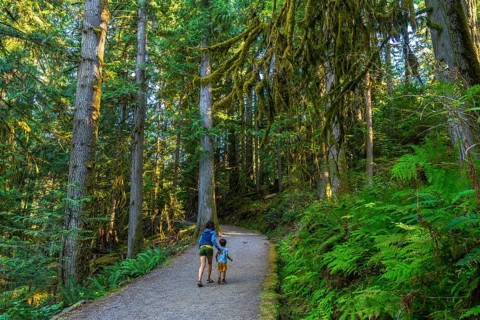 Mother and son enjoying a leisurely stroll along a tranquil gravel path, surrounded by the vibrant