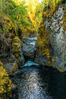 Englishman river falls cascades through a vibrant canyon, creating a picturesque scene of natural