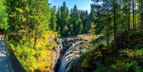 Englishman river falls cascades down a rocky gorge, surrounded by vibrant green forest and a