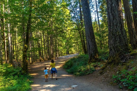 Mother and son enjoying a peaceful stroll along a serene forest path, surrounded by vibrant