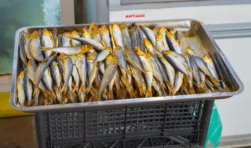 A tray full of dried fish with golden heads, Akhaltsikhe market, Akhaltsikhe, Samtskhe-Javakheti