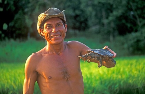 A man who runs a small private zoo near Iquitos on the Amazon shows a turtle, Peru, South America,