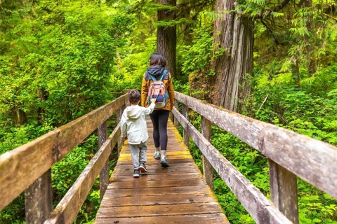 Mother and child enjoying a peaceful walk on a wooden boardwalk through a lush rainforest,