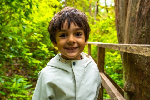 Happy child enjoying a walk in nature on a wooden boardwalk trail surrounded by lush green