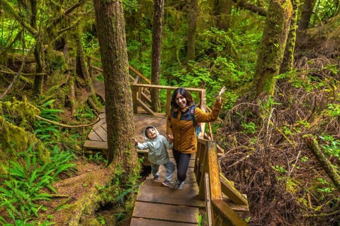 Tourists enjoying walking on wooden pathway through lush green rainforest in ucluelet on vancouver