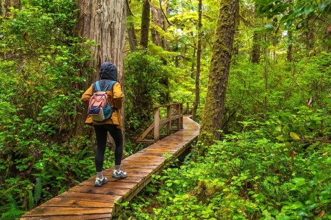 Female tourist wearing a yellow jacket and backpack walking on a wooden path enjoying the