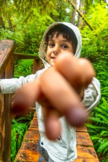 Young child pointing forward while exploring a lush rainforest trail on a wooden walkway,