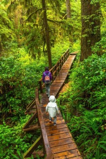Mother and child enjoying a walk on a wooden boardwalk trail through lush rainforest in ucluelet on