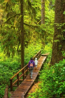 Tourists enjoying a peaceful hike through a lush rainforest on a wooden boardwalk trail, surrounded