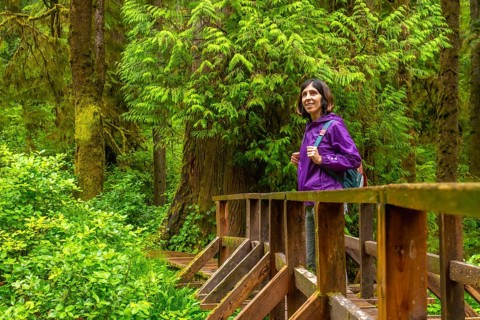 Female tourist hiking with a backpack along a tranquil rainforest trail, crossing a wooden bridge