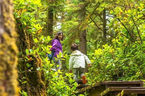 Mother and son enjoying a hike through a lush rainforest trail in ucluelet, located on vancouver