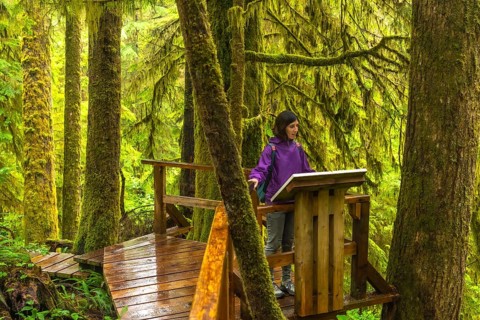 Tourist guide explaining details about rainforest ecosystem on a wooden platform in the rainforest