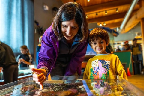 Mother pointing at sea creatures in touch tank, sharing educational moment with her son at the