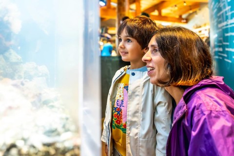 Mother and child are enjoying a day at the aquarium, marveling at the colorful fish and other