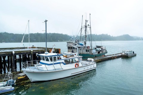 Fishing boats and various vessels moored at a pier on a foggy day, creating a tranquil and
