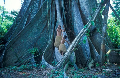 Two boys from a Yagua tribe living near Iquitos on the Amazon use the lianas of a giant tree as a