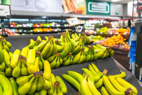 Bunches of vibrant green bananas are neatly arranged on a dark cloth, creating an abundant display