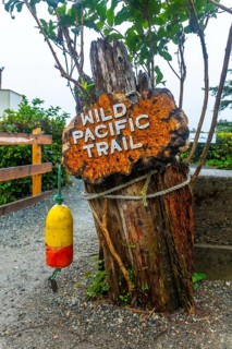 Rusty sign marking the wild pacific trail in ucluelet, british columbia, featuring a weathered