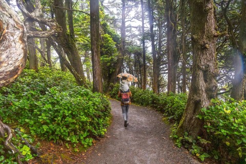 Hiker walking in the rain holding an umbrella on a trail through lush green forest in ucluelet,