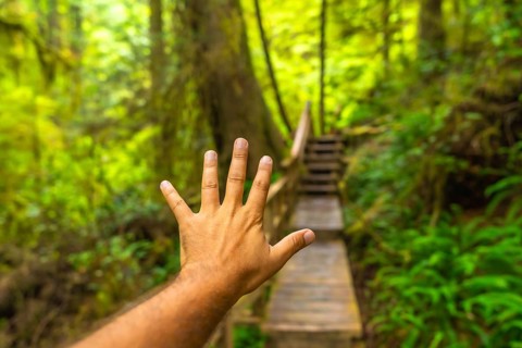 Hand reaching toward wooden stairs leading into a lush green rainforest trail in ucluelet,