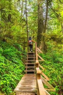 Female hiker with backpack ascending wooden stairs on a lush rainforest trail in ucluelet,