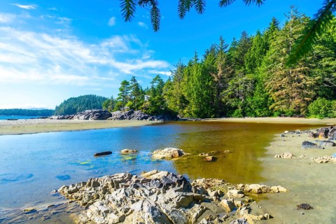 Crystal clear water gently caresses the sandy shores of mackenzie beach. Where lush evergreen