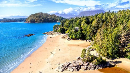 Turquoise water gently caressing the sandy shores of mackenzie beach, surrounded by lush green