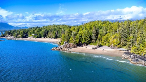 Aerial view of tofino's stunning coastline, showcasing a beautiful sandy beach nestled amidst a