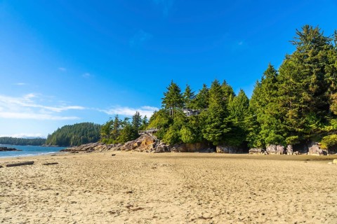 Beautiful house nestled among lush green trees overlooks a pristine sandy beach in tofino,