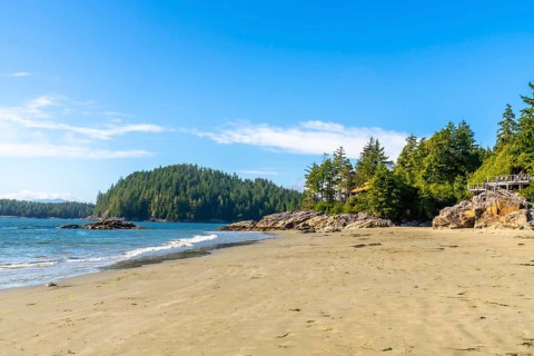 Golden sands meet crystal clear waters under a vibrant blue sky, creating a serene paradise at