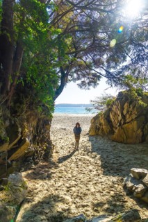 Sun shining through trees on tourist walking on sandy path leading to beach on beautiful summer day