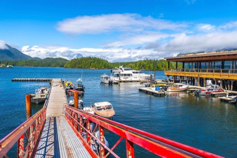 Red pier leading to a marina full of boats with a building on stilts over the water in tofino,