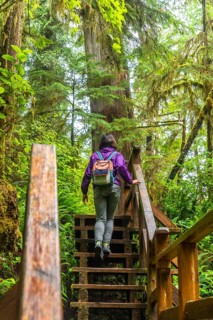 Female tourist climbing wooden stairs along a lush rainforest trail in ucluelet, british columbia,