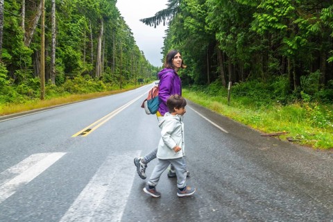 Mother and son crossing a paved road through lush rainforest in ucluelet, vancouver island,