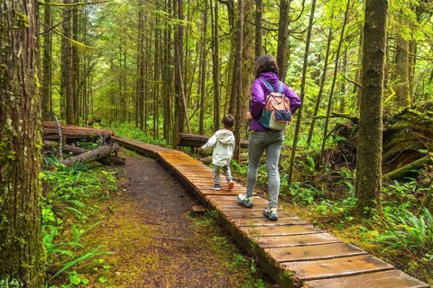 Mother and child are enjoying a hike through a lush rainforest trail in ucluelet, british columbia,
