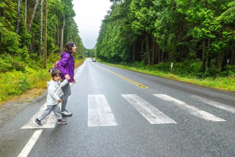 Mother and son crossing a paved road at a pedestrian crossing in a lush rainforest near ucluelet on
