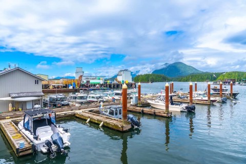 Fishing boats and yachts are docking at a pier in tofino, a small district municipality on the west