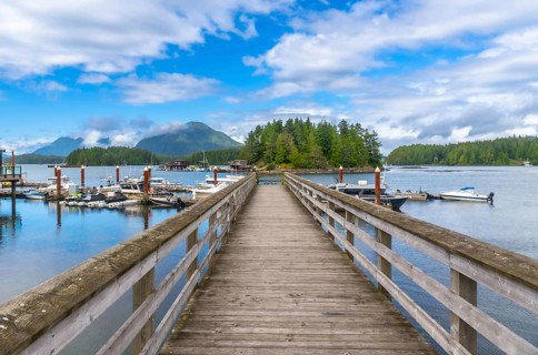 Long wooden pier leading to a small forested island in tofino harbor, vancouver island, british