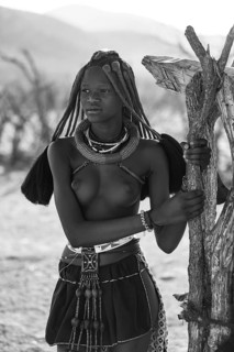 Black and white, young Himba woman with jewelry, portrait, traditional Himba village, Kaokoveld,