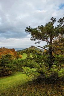 Castle and autumnal forest, Hohenzollern Castle, Hechingen, Swabian Jura, Baden-Württemberg,