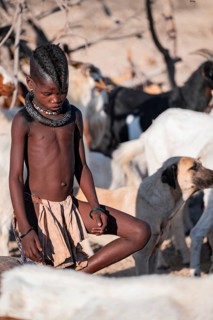 Himba children in the goat herd, traditional Himba village, Kaokoveld, Kunene, Namibia