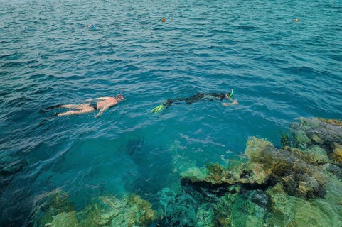 Two snorkelers snorkeling at water surface sea surface of the Red Sea, left man without sun