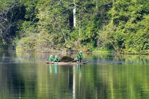 Women harvest seagrass, water channel in Angkor Thom, UNESCO World Heritage Site, Siem Reap,
