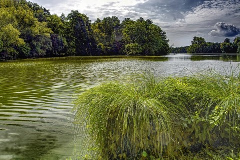 Idyllic lake (De Wittsee) with surrounding trees and reflecting water under a cloudy sky, Nettetal