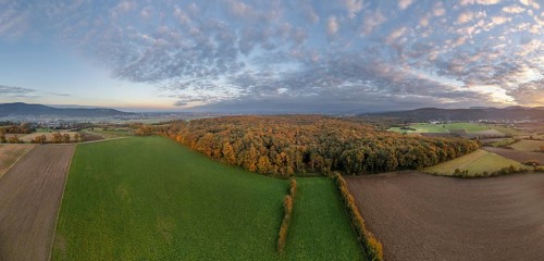 Aerial view of fields and autumn forest on Grossauer Höhe, Berndorf, Lower Austria, Austria