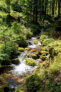 Clear mountain stream, moss-covered stones, Zgornje Jezersko mountaineering village, Slovenia
