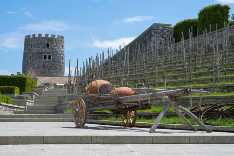 Traditional vineyard with an old wine press and a stone tower in rural surroundings, Rabati