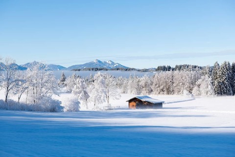 Snowy winter landscape with a secluded hut in front of a wooded mountain background, near Buching,