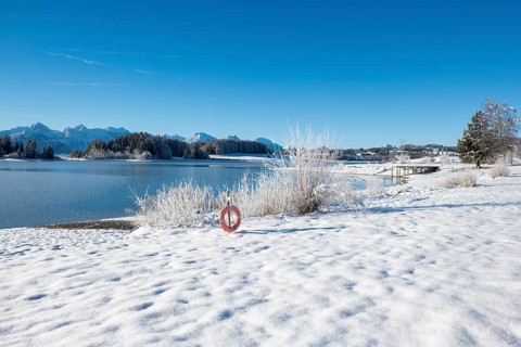 Snowy lakeside landscape with views of mountains and clear skies, Forggensee near Roßhaupten,