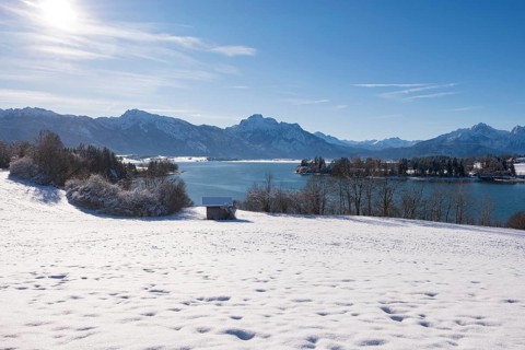 Clear winter panorama with snow, mountains and a calm lake under a blue sky, Forggensee near
